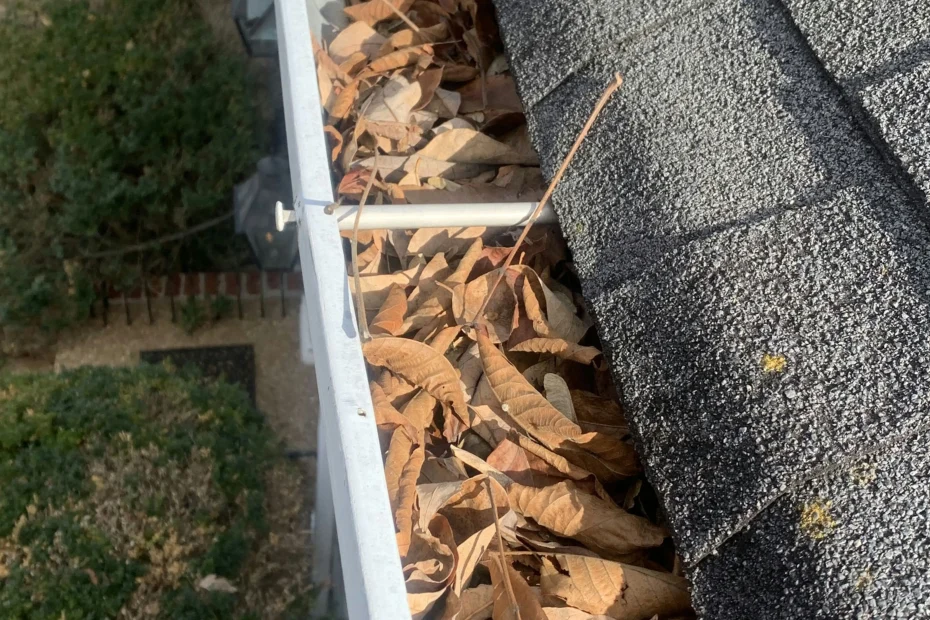 Gutter Cleaning Batavia