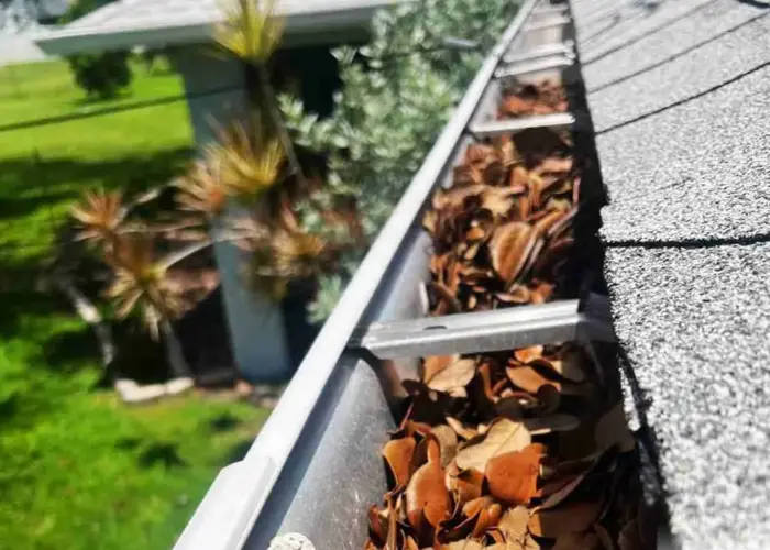 Gutter Cleaning Batavia home page